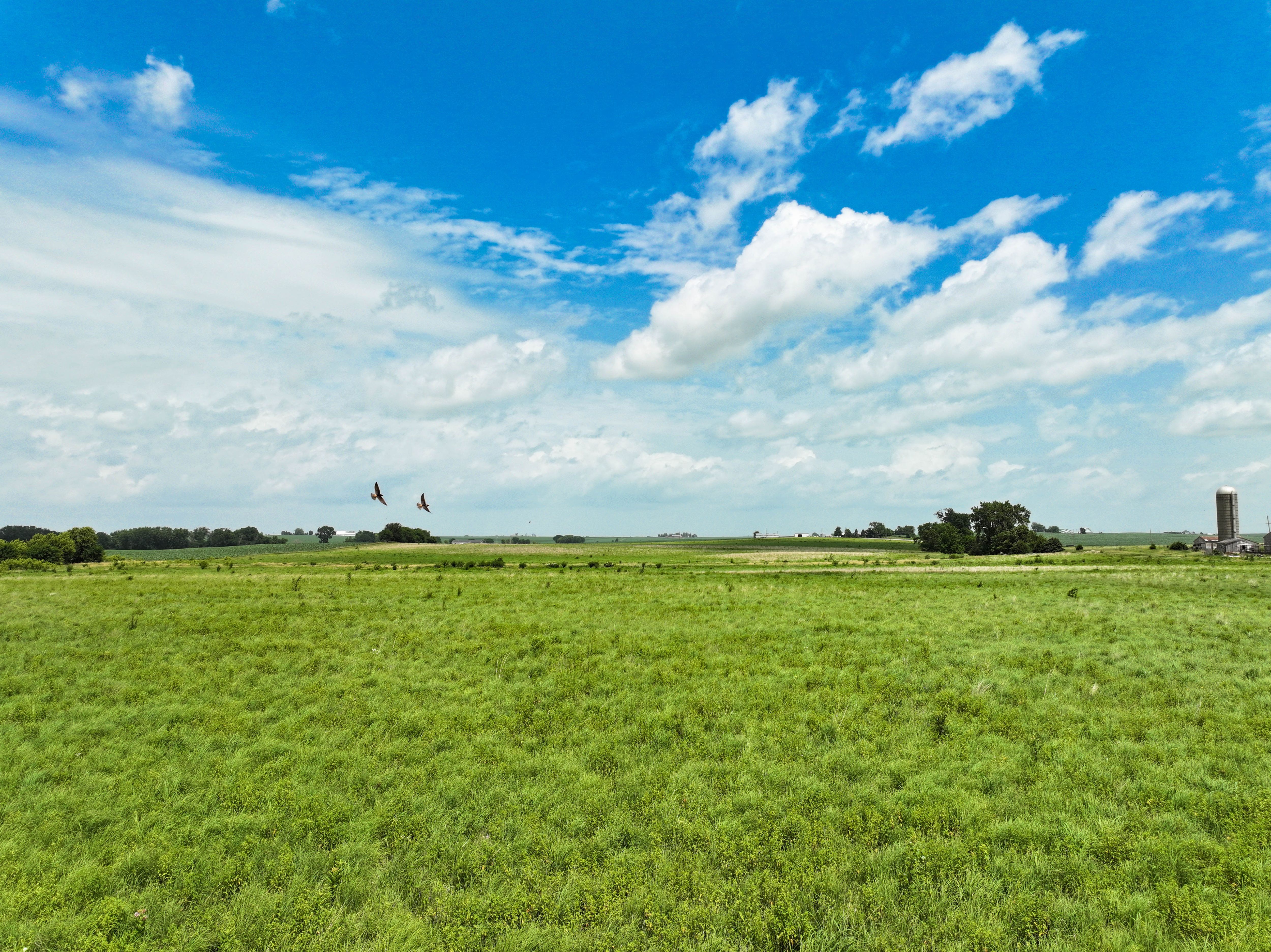 Listing Photo: 7_Troy Mills Iowa Farmland For Sale